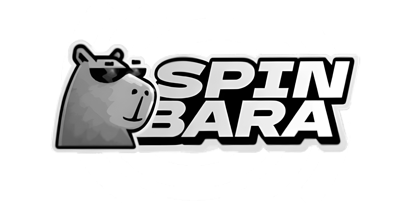 SPIN BARA